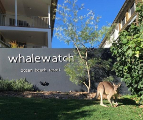 Гостиница Whale Watch Ocean Beach Resort  Пойнт Лукаут